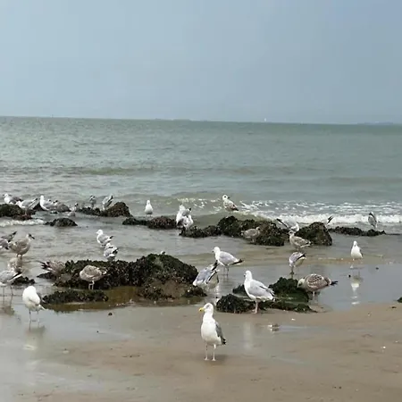 Appartement 3-bedroom Sunny In *