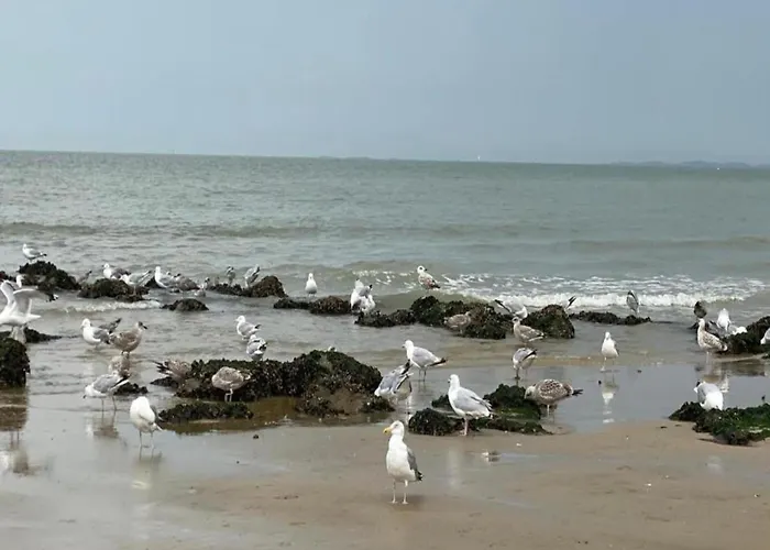 Appartement 3-bedroom Sunny In *