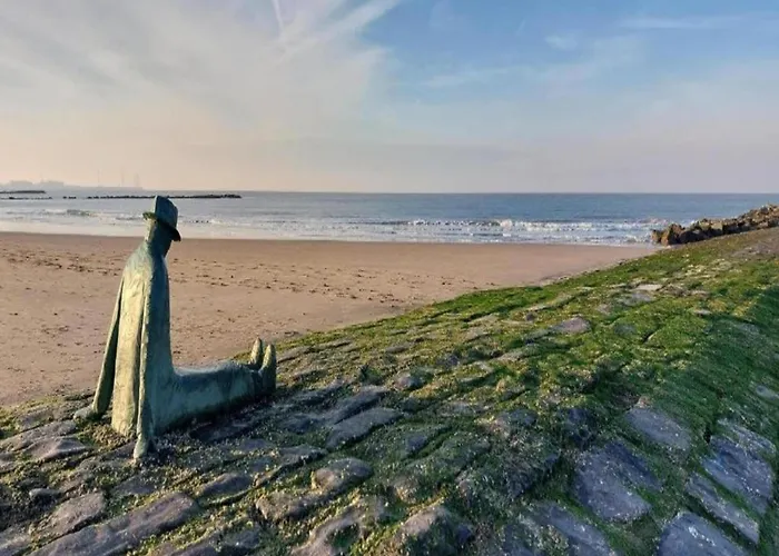 Appartement 3-bedroom Sunny In