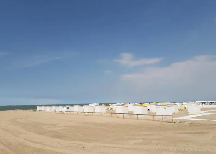 3-bedroom Sunny In Knokke-Heist